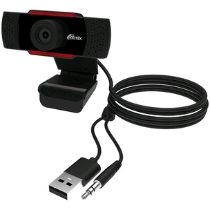Web-камера Ritmix RVC-110 Web-камера Ritmix RVC-110