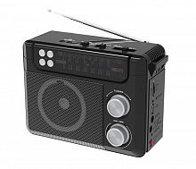 Колонка Ritmix RPR-200 черная