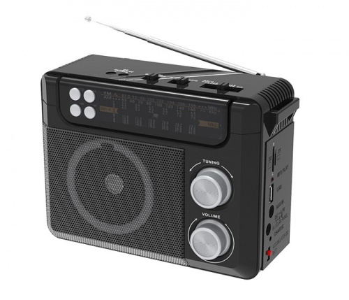 Колонка Ritmix RPR-200 черная Колонка Ritmix RPR-200 черная
