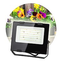 Фитопрожектор светодиодный для цветения и плодоношения ЭРА FITO-50W-Ra90-LED